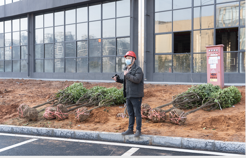 1646986996413599.png image.png