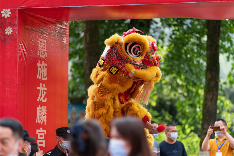 1654045225179146.jpg 舞獅.jpg