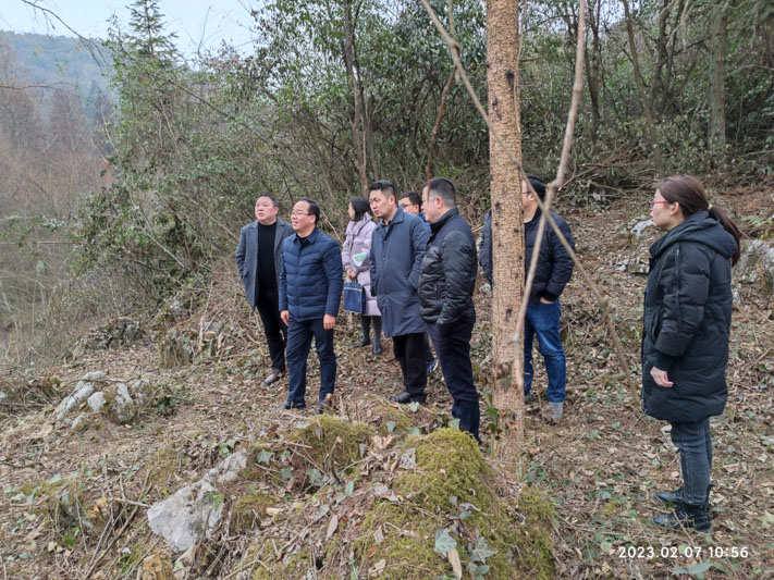 集團公司總經(jīng)理鄧亞敏率隊考察望城坡文旅資源