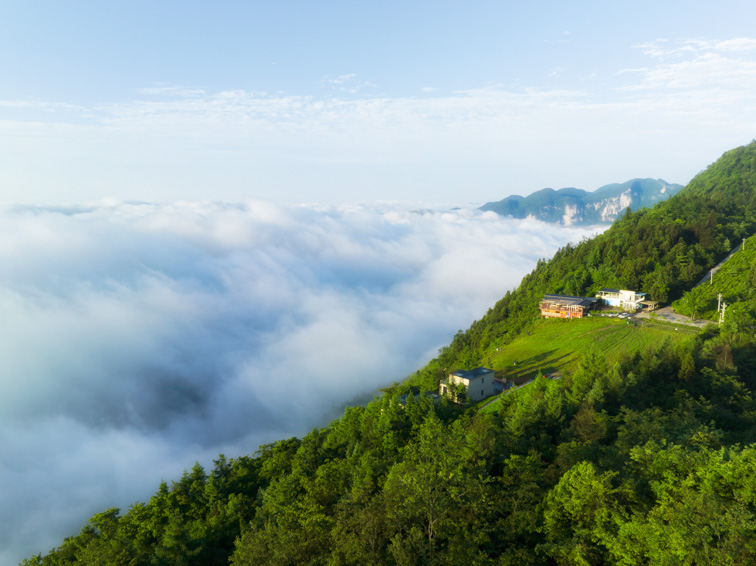 《恩施忘塵峰露營度假區(qū)總體規(guī)劃》通過評審